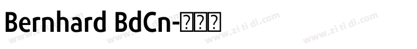 Bernhard BdCn字体转换 Bernhard BdCn字体转换